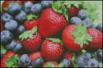 (image for) Freshness